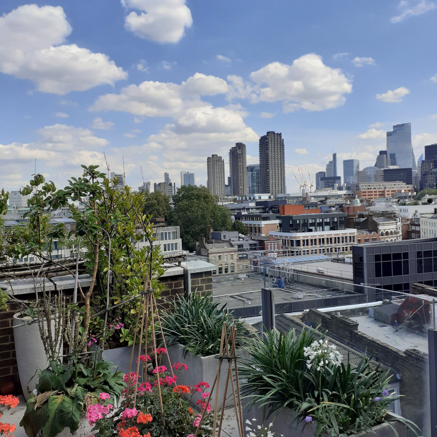 City View