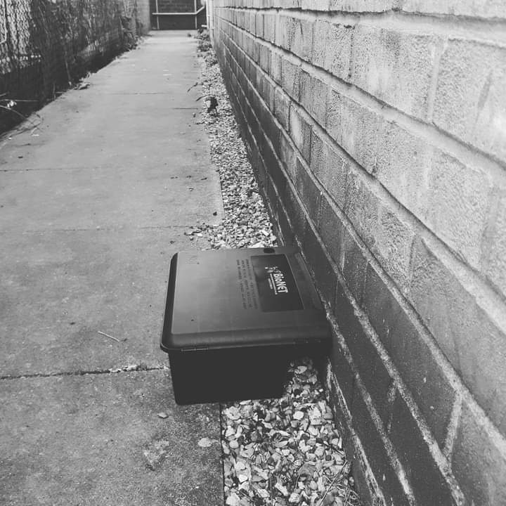 Rat Box